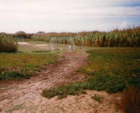 Terreno de 8012m2 com vista para as Berlengas
