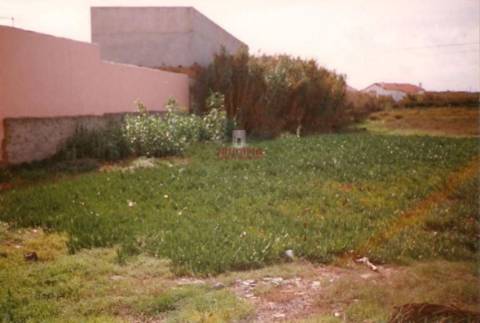 Terreno de 8012m2 com vista para as Berlengas