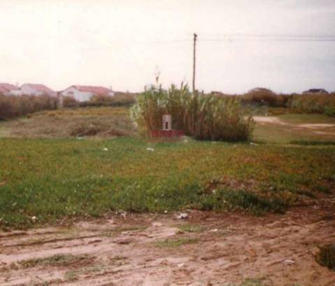 Terreno de 8012m2 com vista para as Berlengas