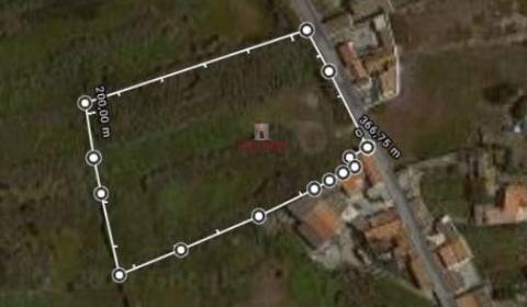 Terreno de 8012m2 com vista para as Berlengas