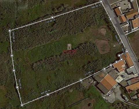 Terreno de 8012m2 com vista para as Berlengas