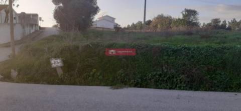 Terreno Urbano Sobral, Borda do Campo