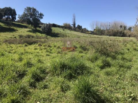Terreno Urbano 7.750 m2, Asseiceira, Rio Maior