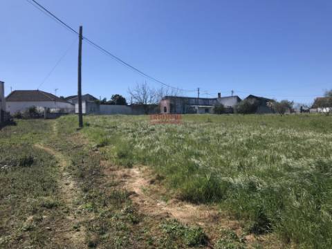 Terreno Urbano 7.750 m2, Asseiceira, Rio Maior