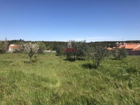 Terreno Urbano 7.750 m2, Asseiceira, Rio Maior