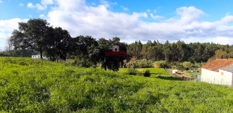 Terreno Urbano 7.750 m2, Asseiceira, Rio Maior