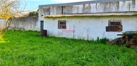 Terreno Urbano 7.750 m2, Asseiceira, Rio Maior