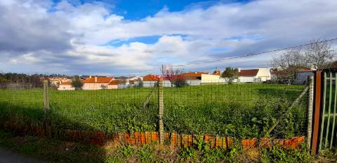 Terreno Urbano 7.750 m2, Asseiceira, Rio Maior