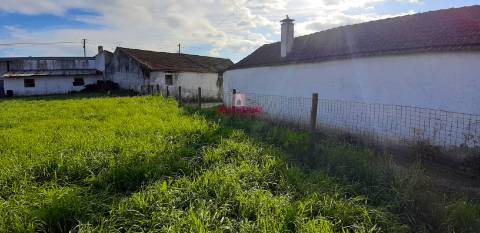 Terreno Urbano 7.750 m2, Asseiceira, Rio Maior