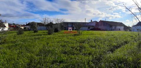 Terreno Urbano 7.750 m2, Asseiceira, Rio Maior