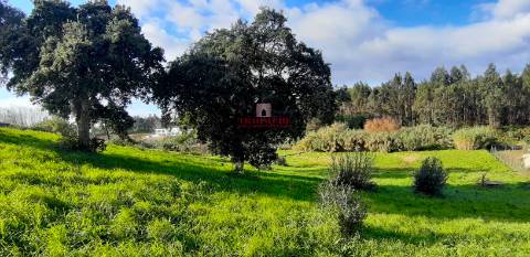 Terreno Urbano 7.750 m2, Asseiceira, Rio Maior