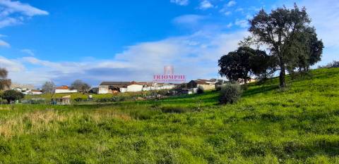 Terreno Urbano 7.750 m2, Asseiceira, Rio Maior