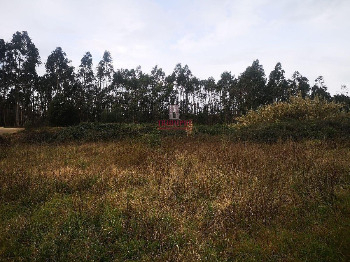 Terreno para Construção 2.975m2, Oliveira de Azeméis