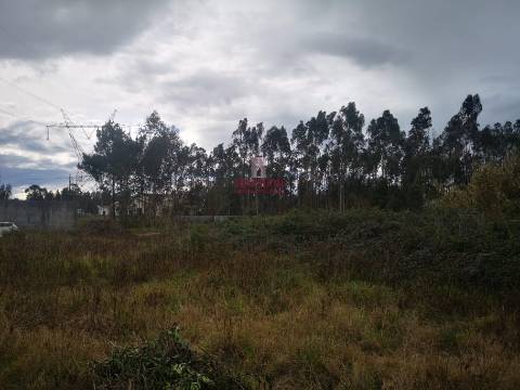 Terreno para Construção 2.975m2, Oliveira de Azeméis