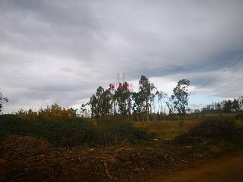 Terreno para Construção 2.975m2, Oliveira de Azeméis