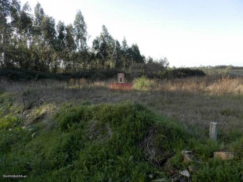 Terreno para Construção 2.975m2, Oliveira de Azeméis  