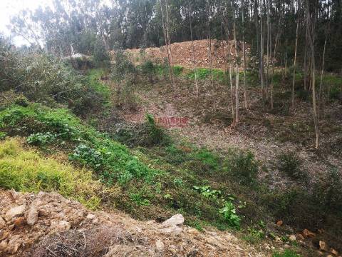 Terreno para Construção 5.950m2, Oliveira de Azeméis  