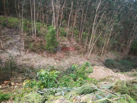 Terreno para Construção 5.950m2, Oliveira de Azeméis  