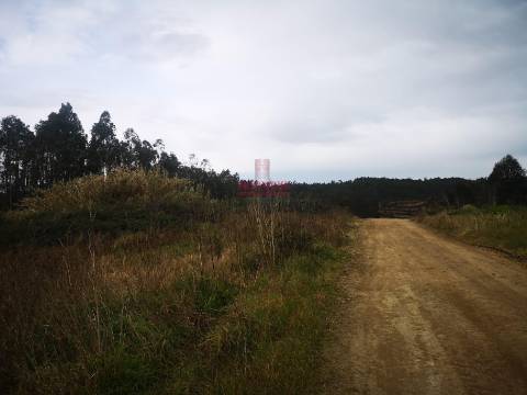 Terreno para Construção 5.950m2, Oliveira de Azeméis  