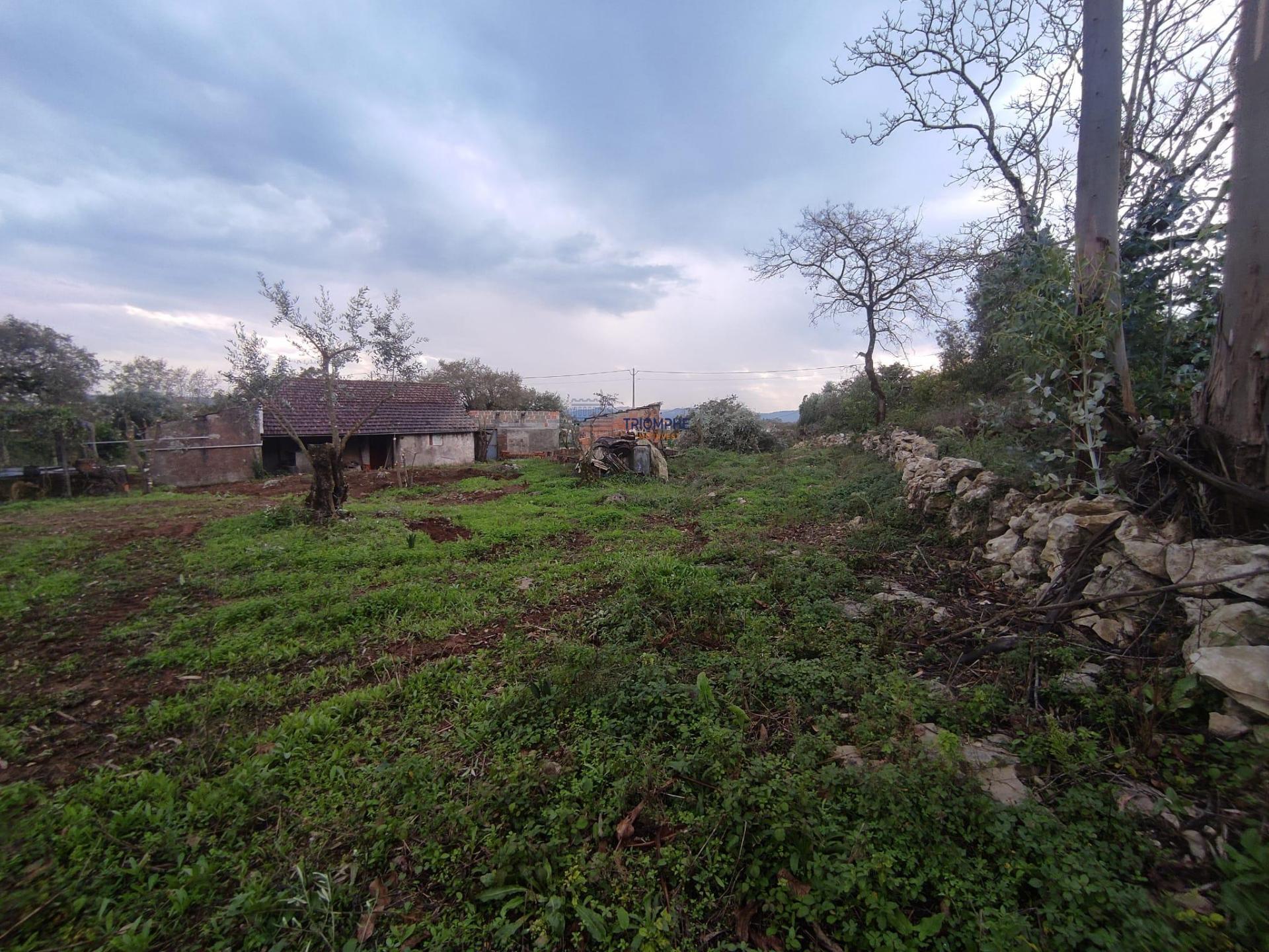 Moradia T2 Pombal
