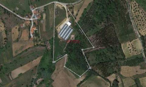 Terreno com Estufas de Morangos em hidropónica, Soure