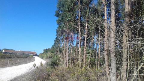 Terreno com 5440 m2, Lourinhã