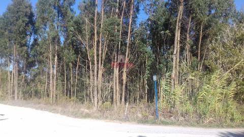 Terreno com 5440 m2, Lourinhã