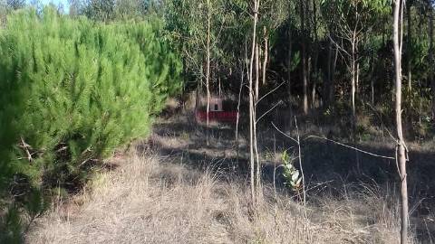 Terreno com 5440 m2, Lourinhã