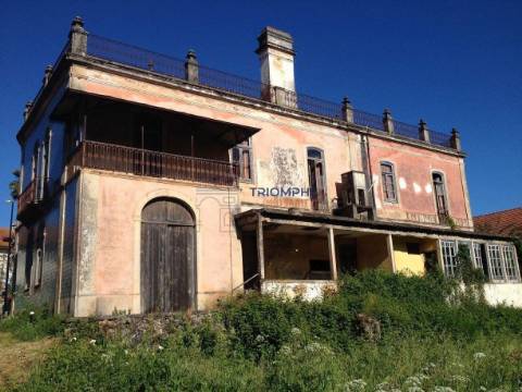 Quinta para Recuperar - Potencial de Investimento - Alvaiázere