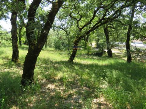 Quinta de Eventos Única no Centro de Portugal