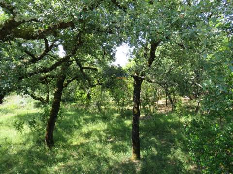 Quinta de Eventos Única no Centro de Portugal