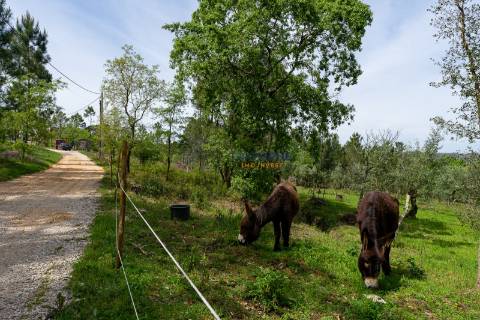 Quinta do Casal Cabo