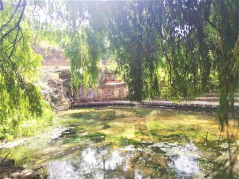 Quinta de Eventos/Restaurante, Redinha, Pombal