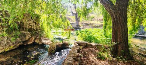 Quinta de Eventos/Restaurante, Redinha, Pombal