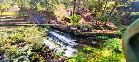 Quinta de Eventos/Restaurante, Redinha, Pombal