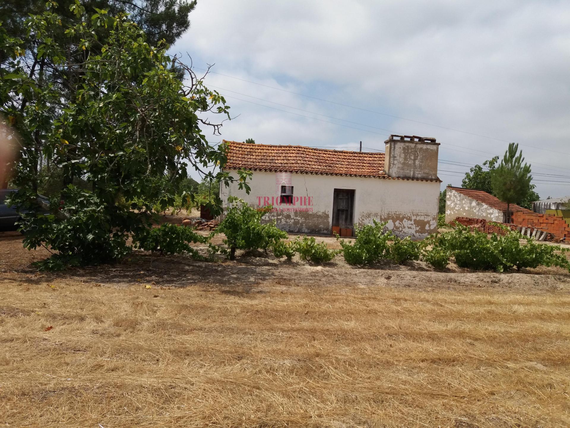 Quinta com Vinha, Valverde, Coruche