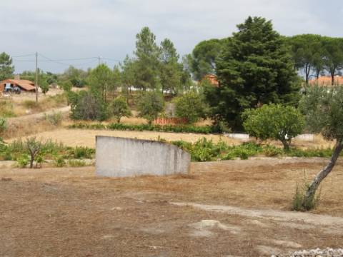 Quinta com Vinha, Valverde, Coruche