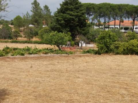 Quinta com Vinha, Valverde, Coruche