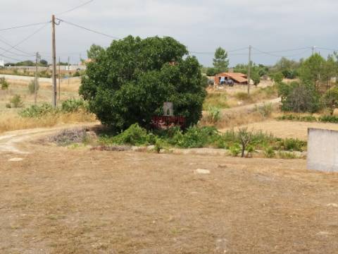 Quinta com Vinha, Valverde, Coruche