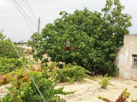 Quinta com Vinha, Valverde, Coruche
