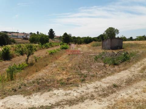 Quinta com Vinha, Valverde, Coruche