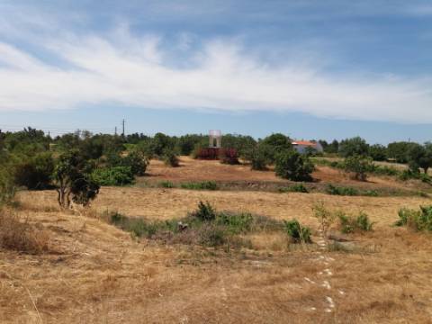 Quinta com Vinha, Valverde, Coruche