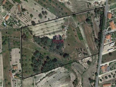 Quinta com Vinha, Valverde, Coruche