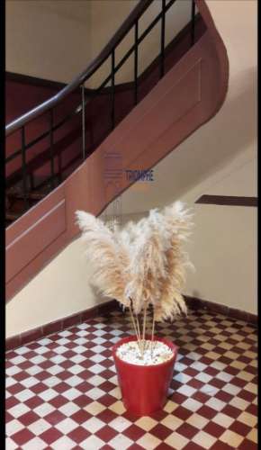 T2 com logradouro, Avenidas Novas