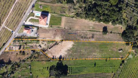 Terreno de 12.560m2 c/ possibilidade construção em Delgada, Bombarral