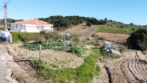 Terreno de 12.560m2 c/ possibilidade construção em Delgada, Bombarral