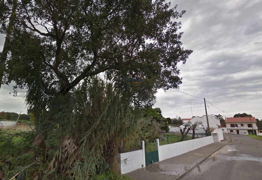 Quinta com 9788m2 de Terreno em Coruche