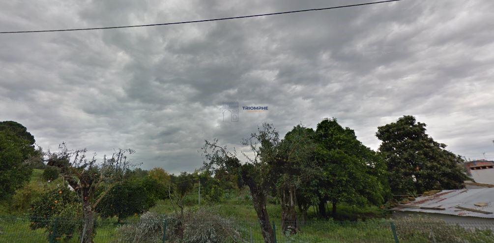 Quinta com 9788m2 de Terreno em Coruche