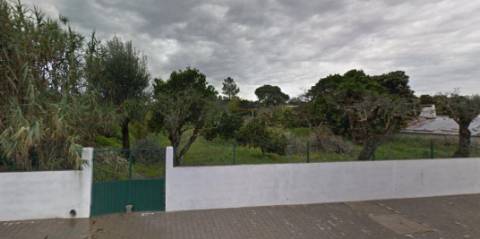 Quinta com 9788m2 de Terreno em Coruche