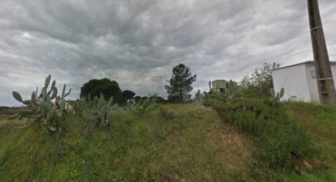 Quinta com 9788m2 de Terreno em Coruche